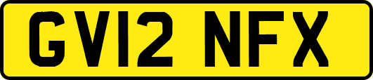 GV12NFX
