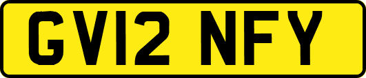 GV12NFY
