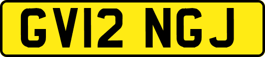 GV12NGJ