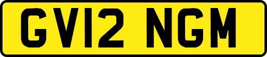 GV12NGM