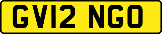GV12NGO
