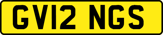 GV12NGS