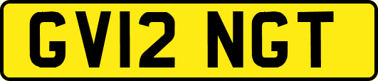 GV12NGT
