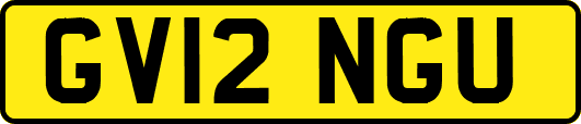 GV12NGU