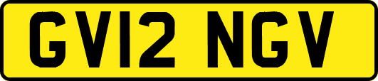 GV12NGV