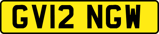 GV12NGW