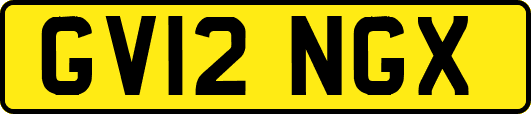 GV12NGX