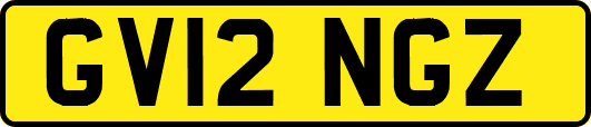 GV12NGZ