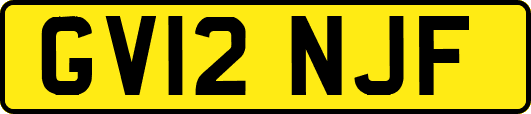 GV12NJF