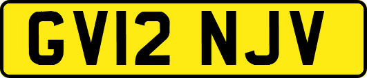 GV12NJV