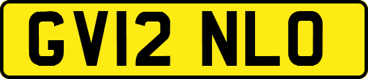 GV12NLO