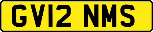 GV12NMS
