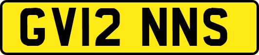 GV12NNS
