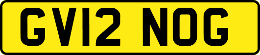 GV12NOG