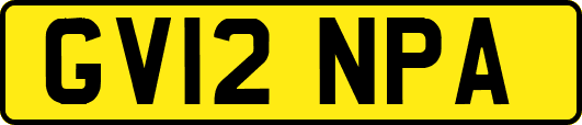 GV12NPA