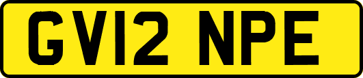 GV12NPE