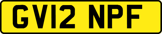 GV12NPF