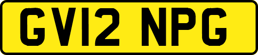 GV12NPG