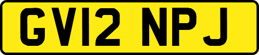 GV12NPJ