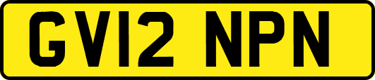 GV12NPN
