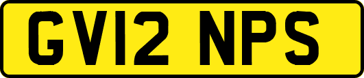 GV12NPS