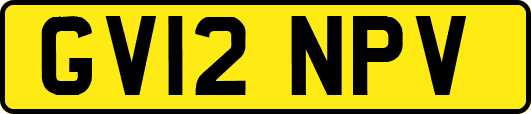 GV12NPV