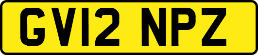 GV12NPZ
