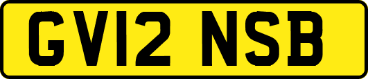 GV12NSB