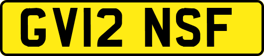 GV12NSF