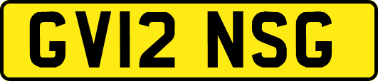 GV12NSG