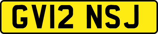 GV12NSJ