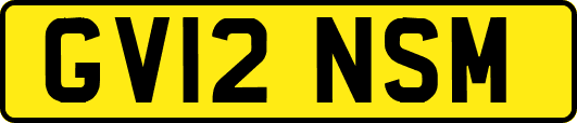 GV12NSM