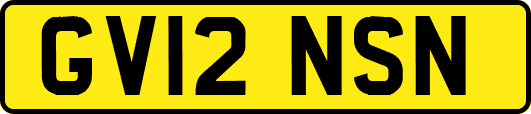 GV12NSN