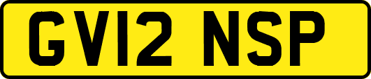 GV12NSP