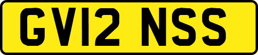 GV12NSS