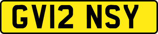 GV12NSY