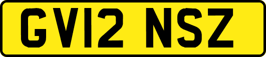GV12NSZ