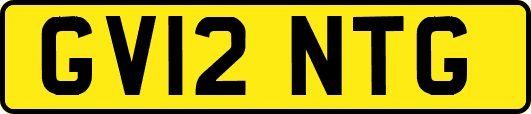 GV12NTG