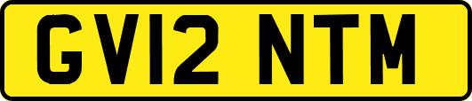 GV12NTM