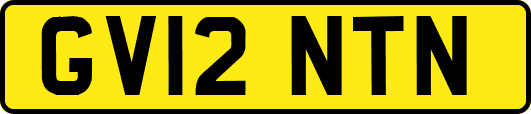 GV12NTN