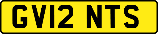 GV12NTS