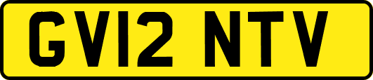 GV12NTV