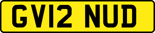 GV12NUD