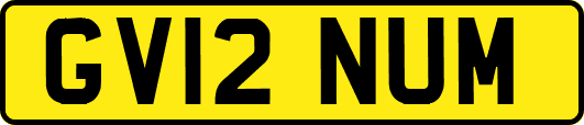 GV12NUM