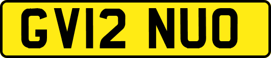 GV12NUO