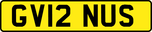 GV12NUS