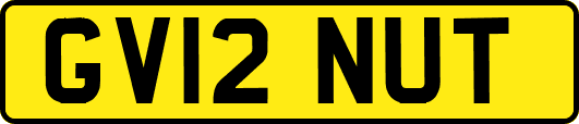 GV12NUT