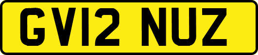GV12NUZ
