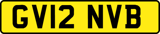 GV12NVB