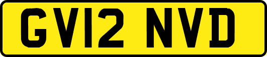 GV12NVD